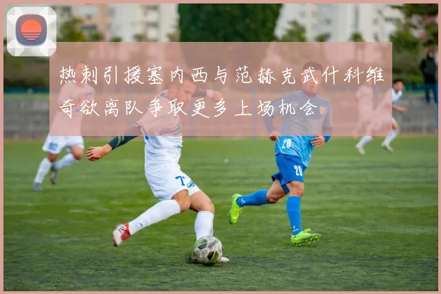 热刺引援塞内西与范赫克武什科维奇欲离队争取更多上场机会