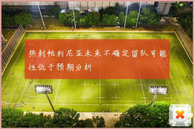 热刺帕利尼亚未来不确定留队可能性低于预期分析
