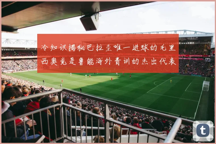 冷知识揭秘巴拉圭唯一进球的毛里西奥竟是鲁能海外青训的杰出代表